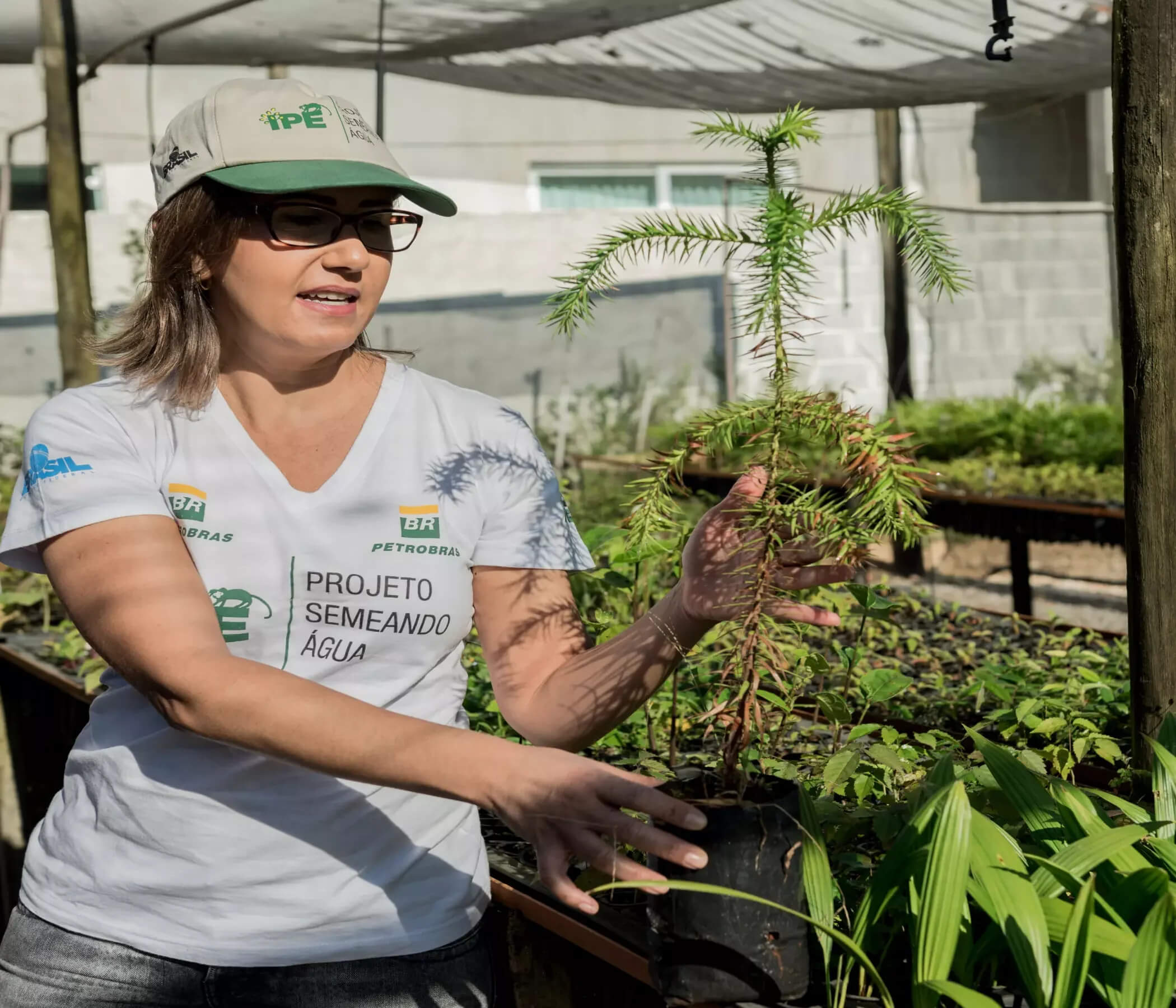 Mulher em meio a diversas mudas nativas da Mata Atlântica. Ela usa boné e camiseta do Projeto Semeando Água, com marca da Petrobras.