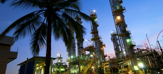 Palm tree with Reduc Refinery structure in the background