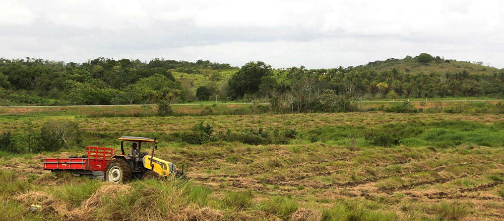 Fotografia diurna de um trator transportando mudas em um corredor ecológico.